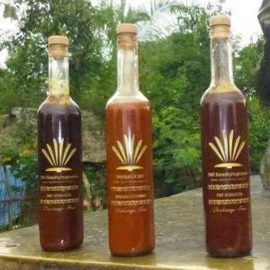 Ayahuasca Retreat In Michigan