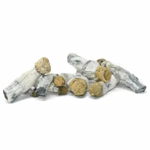 BUY Blue Goba Magic Mushroom Online USA